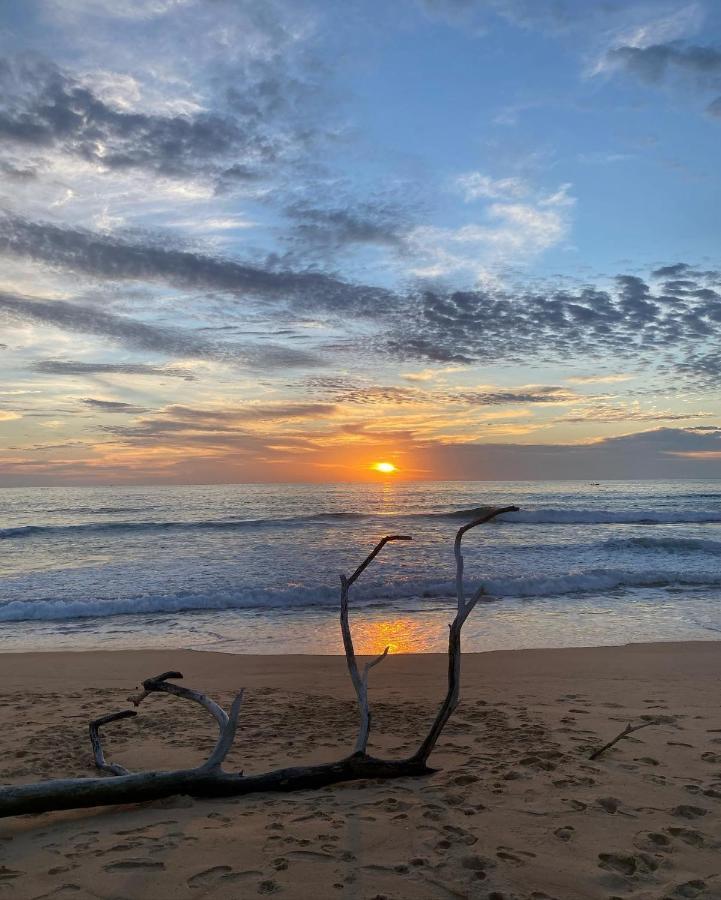 Enjoy'S Beach House & Cafe' Ban Karon المظهر الخارجي الصورة